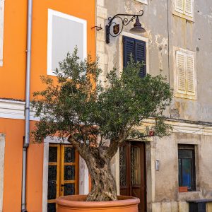 Straatje-Izola-Slovenie
