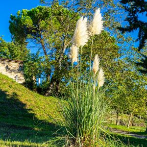 Wandeling-kust-van-Slovenie-izola-naar-piran