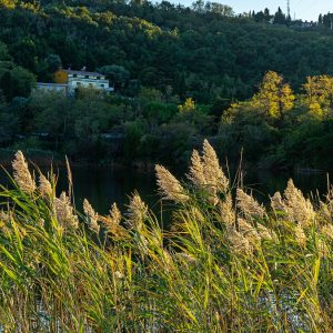 Fiesa-Lake-bij-Piran-Slovenie