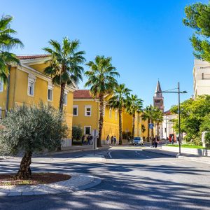 straat-met-palmbomen-koper-slovenie