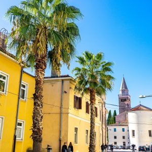 Straat-met-palmbomen-Koper-Slovenie