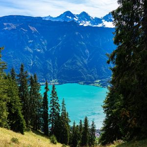 Uitzicht-op-Brienzersee