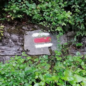 Wandelpad-Harder-Kulm-Augstmatthorn-bergen-markering