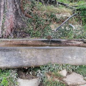 Natuurlijke-waterbron-richting-Harder-Kulm-wandelen