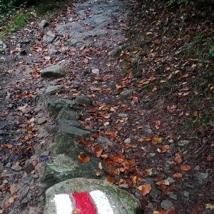 Markering-wandelroute-Harder-Kulm-Augstmatthorn