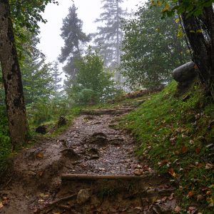 Wandelpad-van-Interlaken-naar-Harder-Kulm