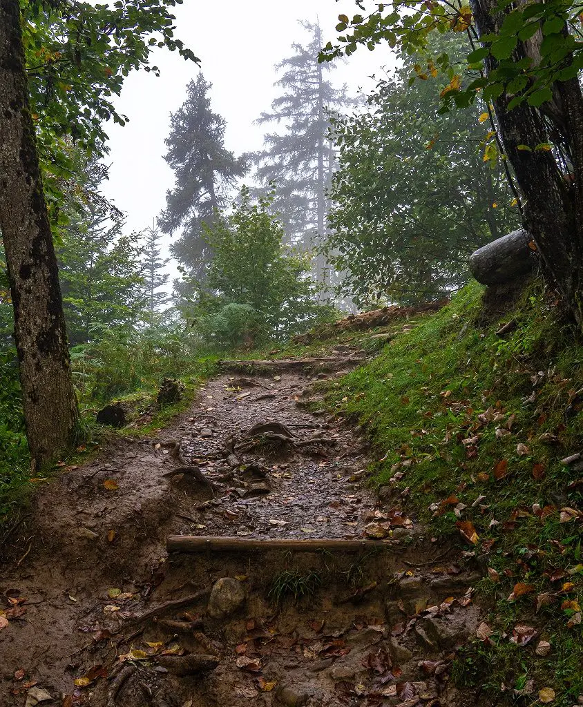 Wandelpad-van-Interlaken-naar-Harder-Kulm