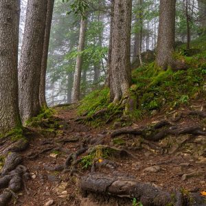 Sprookjesachtig-wandelpad-naar-Augstmatthorn