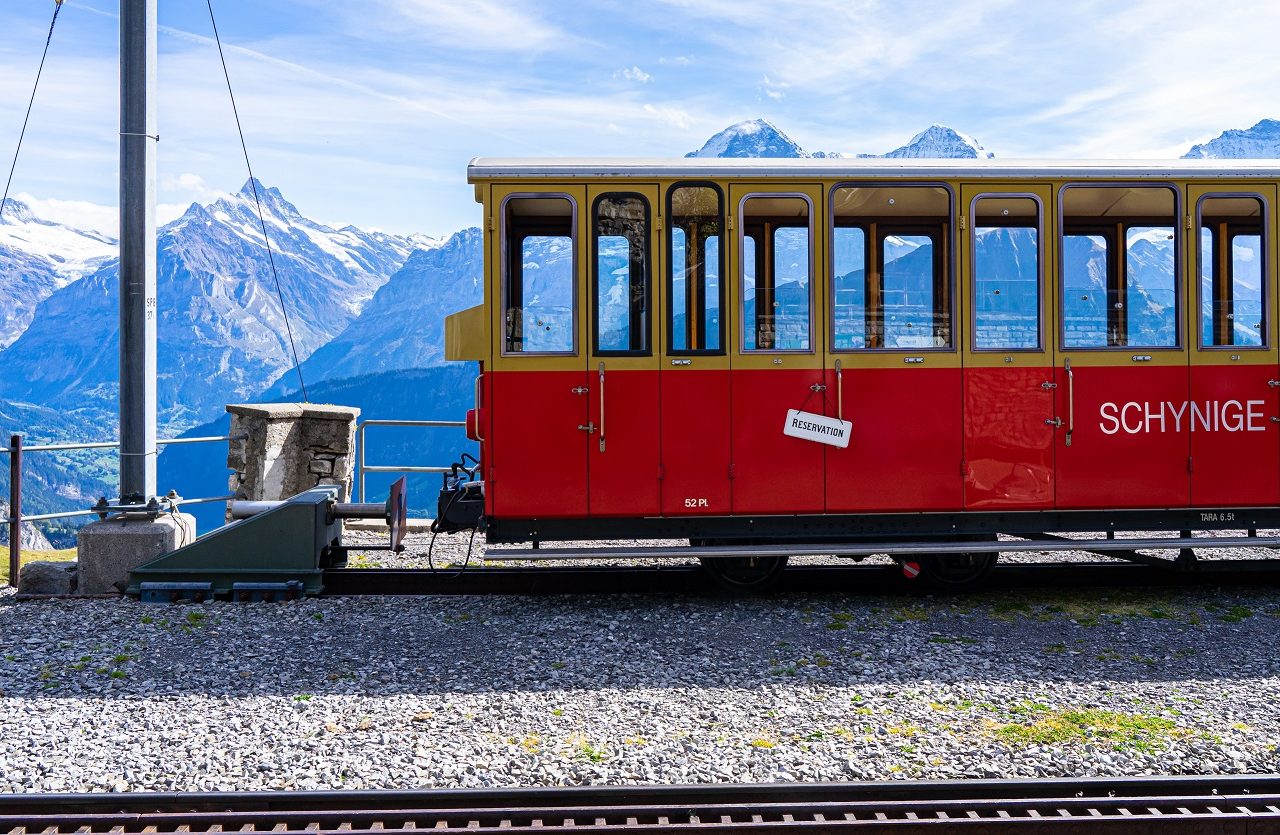 Bergtrein-Schynige -Platte-Wilderswil