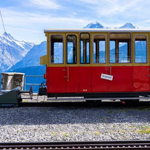 Bergtrein-Schynige -Platte-Wilderswil