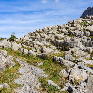 Wandeling-Wilderswil-naar-Grindelwald