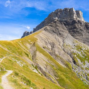Rotslandschap-Schynige-Platte