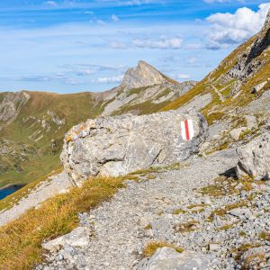 Wandelpad-van-Wilderswil-naar-Grindelwald-Zwitserland