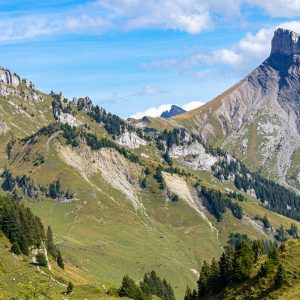 Wandelen-Schynige-Platte-Zwitserland