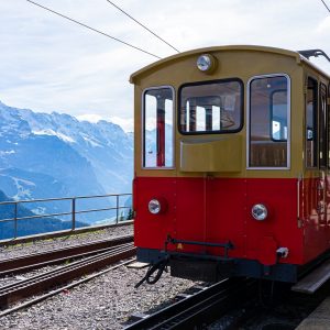 Bergtrein-Schynige -Platte-Wilderswil