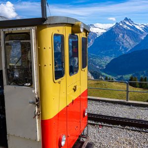 Bergtrein-Schynige -Platte-Wilderswil
