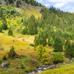 Riviertje-tijdens-daling-naar-Grindelwald