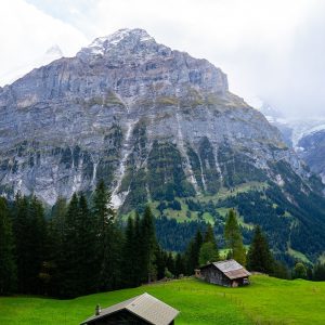 Schuurtjes-in-weide-bij-Grindelwald