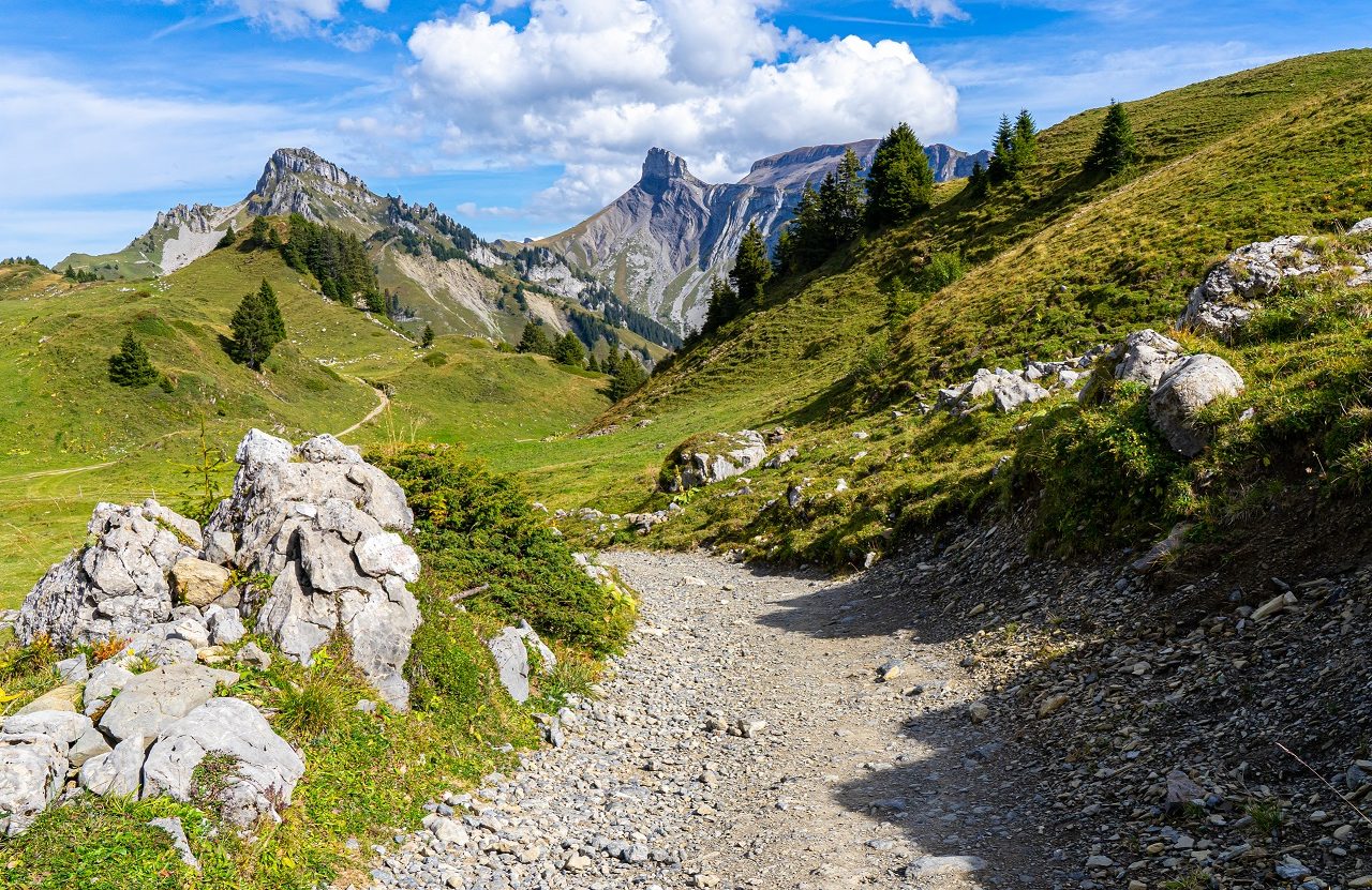 Wandelpad-Schynige-Platte-van-Wilderswil-naar-Grindelwald