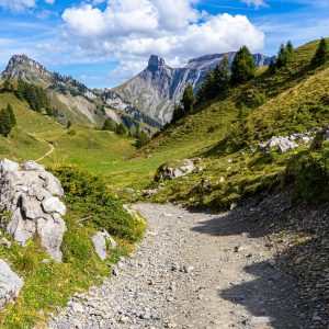 Wandelpad-Schynige-Platte-van-Wilderswil-naar-Grindelwald