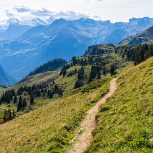 Wandelpad-Schynige-Platte
