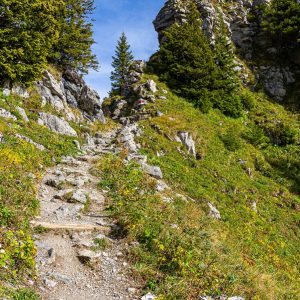 Onverhard-wandelpad-Schynige-Platte