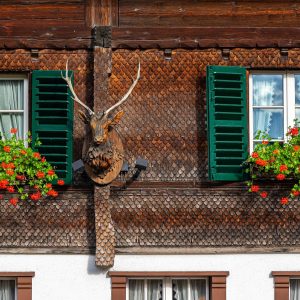 Houten-hert-op-gevel-Interlaken