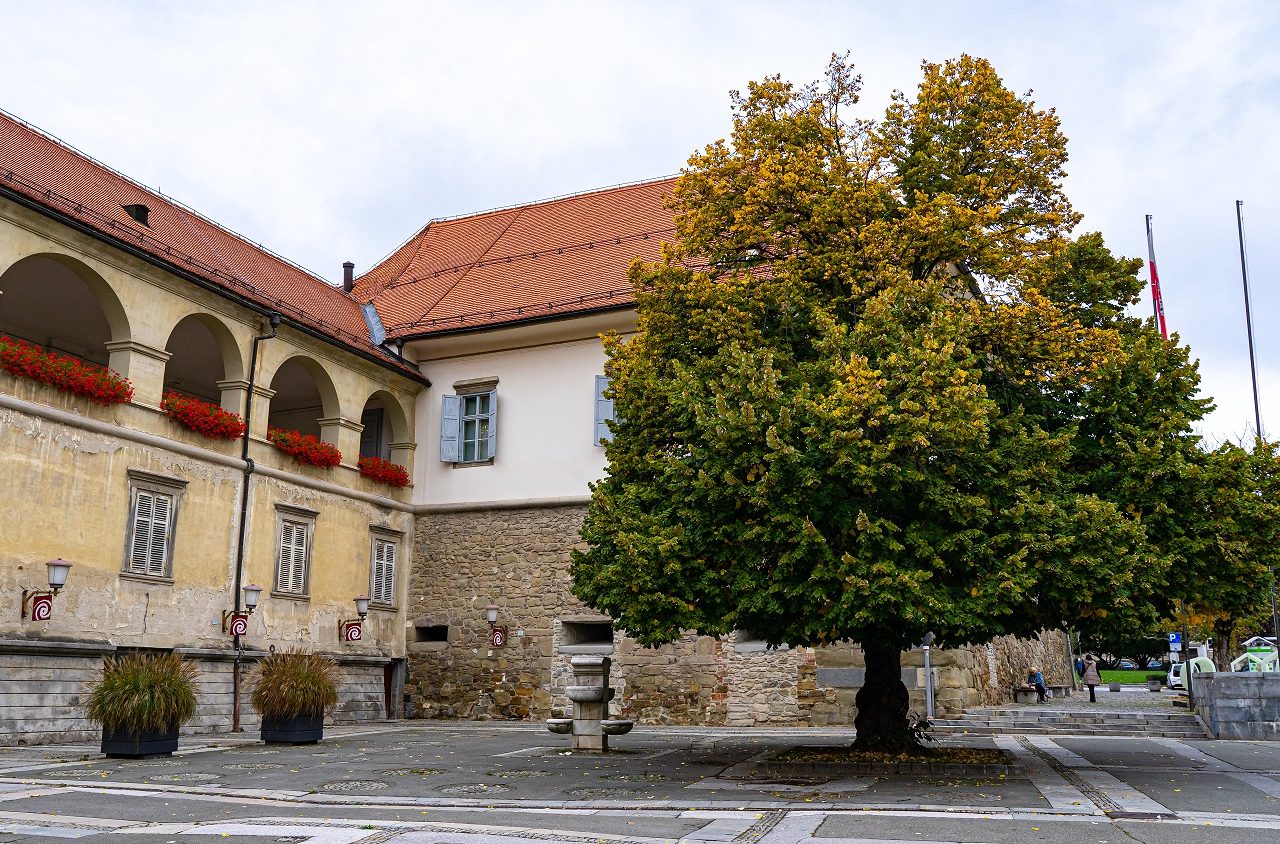 Pleintje-in-Maribor-Slovenie