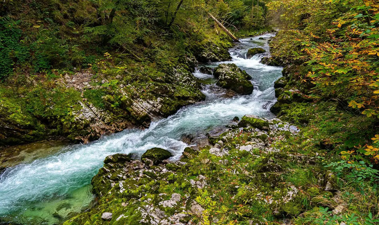 Vintgarkloof-Slovenie-rivier