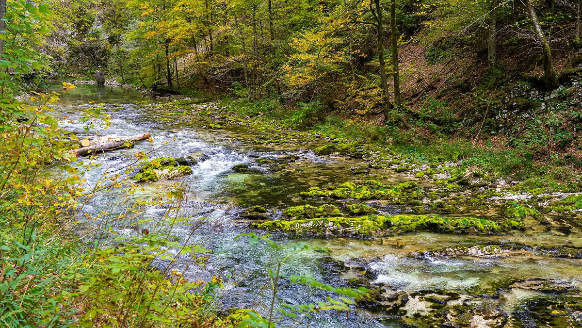 Rivier-Vintgarkloof-mooiste-plekken-in-Slovenie