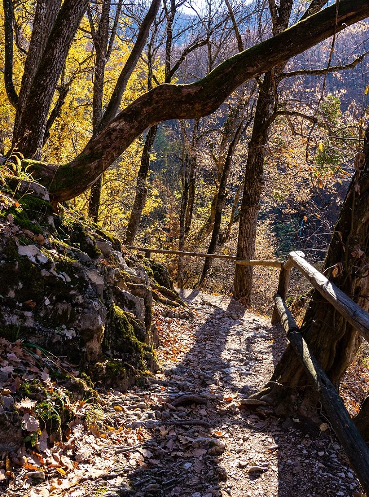 Wandelpad-naar-grotten-Bukk-Nationaal-Park-Hongarije