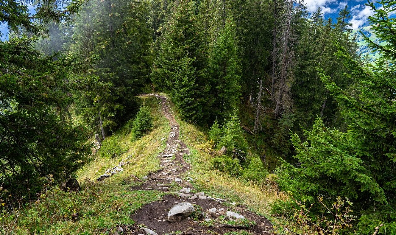 Hardergrat-Trail-wandelingen-naar-mooiste-plekken-zwitserland