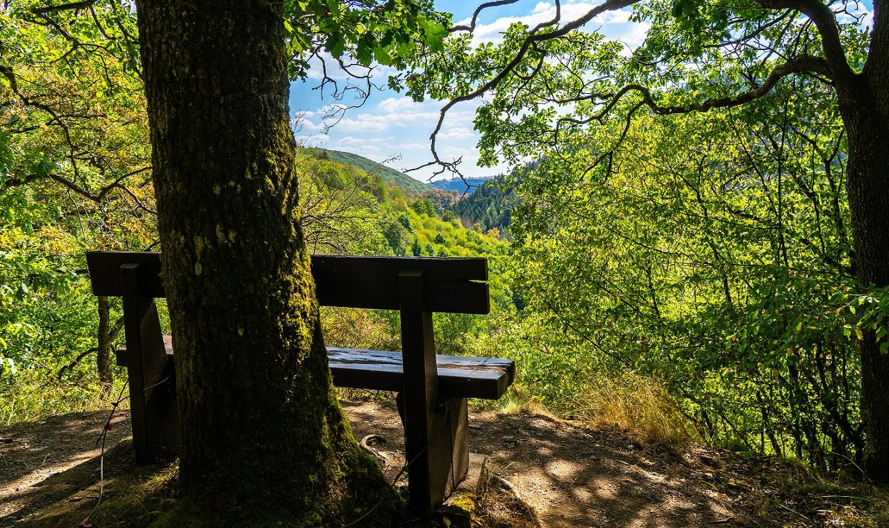Uitzicht-in-bossen-Lee-Trail-Luxemburg