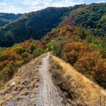 Lee-tijdens-Lee-Trail-Luxemburg