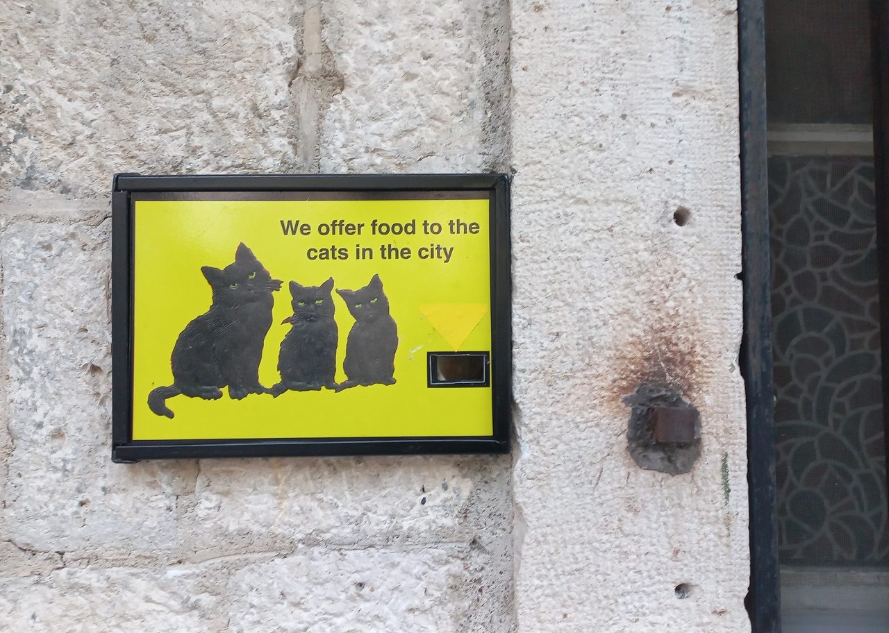 Kattenmuseum-donatieplaatje-Kotor