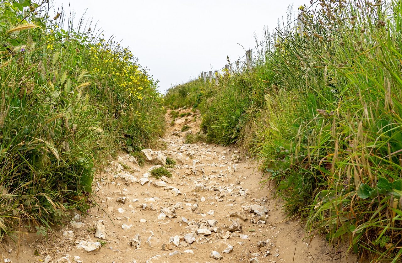 Wandelpad-Krijtrotsen-Etretat-Frankrijk