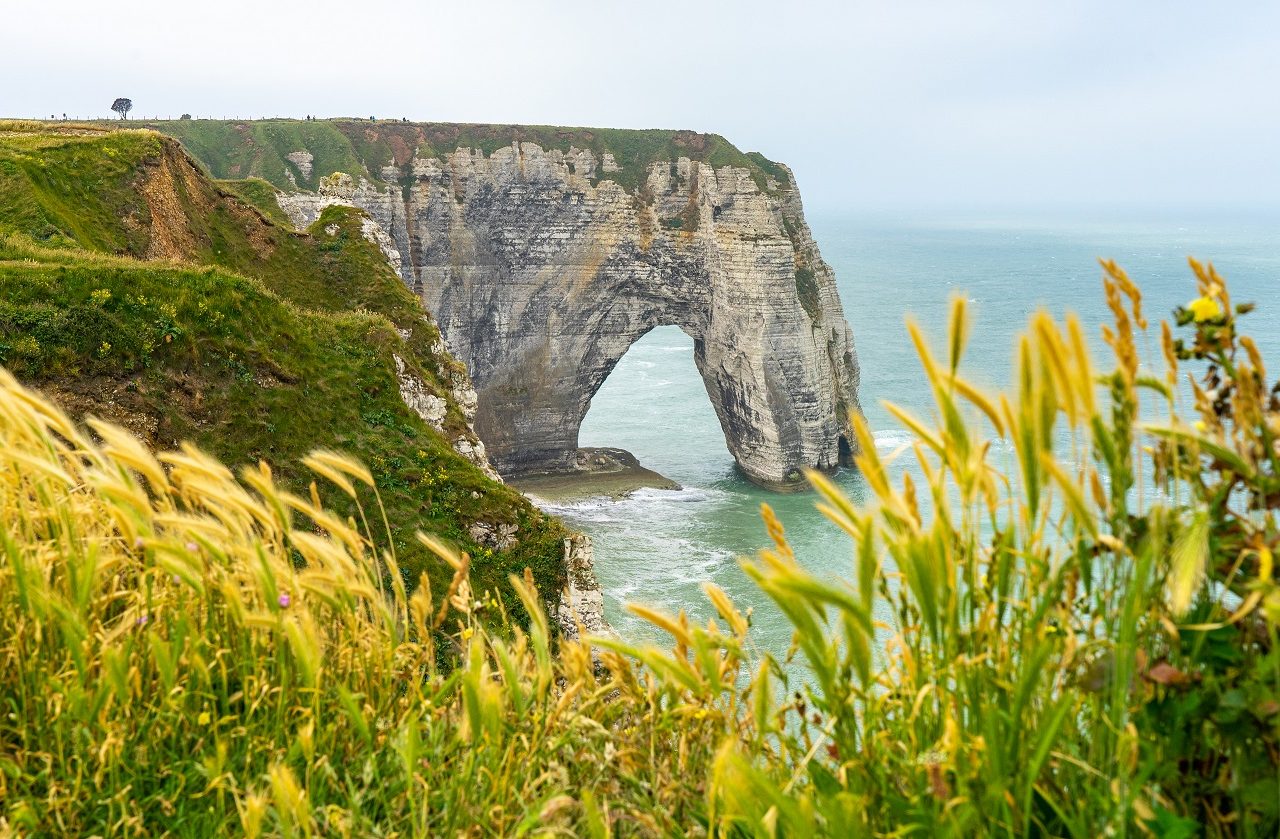 Krijtrotsen-Etretat-Frankrijk-met-bloemen-op-achtergrond