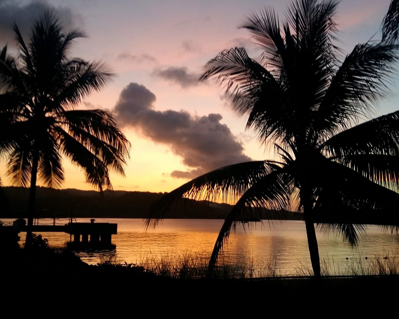 Palmbomen-bij-zonsondergang-Jamaica-wooninspiratie-beach-vibes