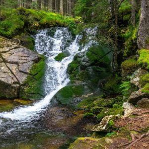 Waterval-Retezat-Nationaal-Park-Roemenië