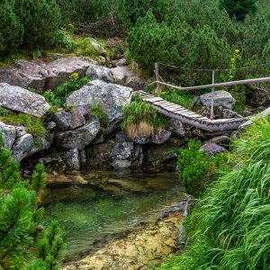 Wandelpad-Retezat-Nationaal-Park-Roemenië