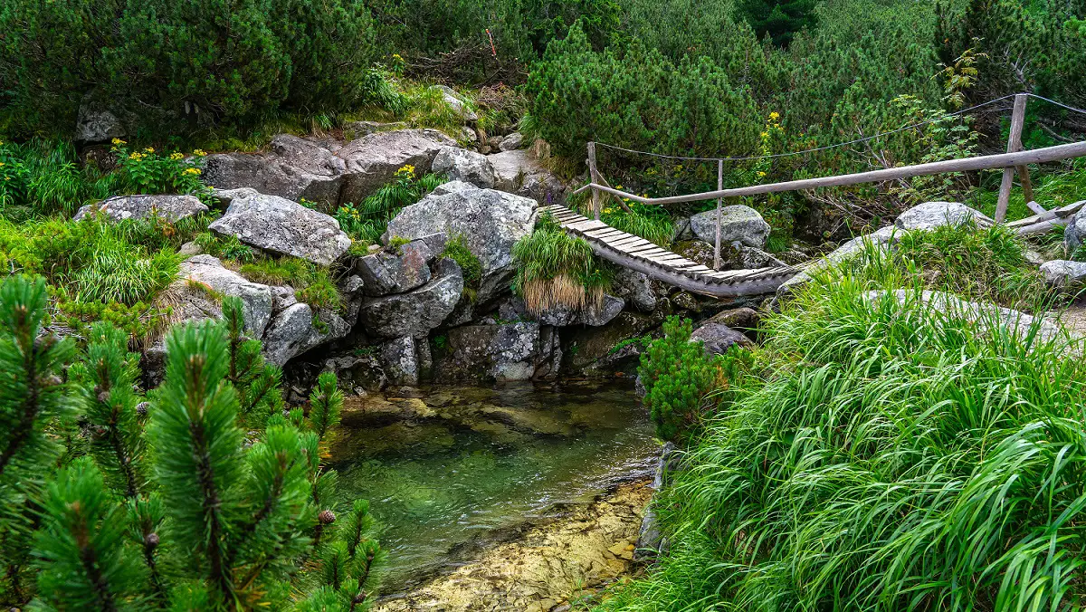 Wandelpad-Retezat-Nationaal-Park-Roemenië