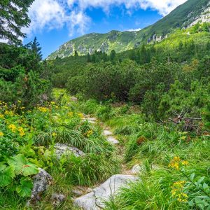 Wandelpad-Retezat-Nationaal-Park-Roemenië