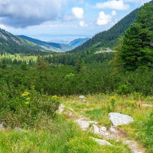 Wandelpad-Retezat-Nationaal-Park-Roemenië