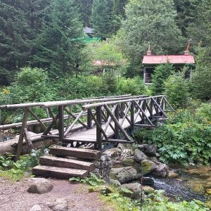 Bruggetje-Retezat-Nationaal-Park-Roemenië