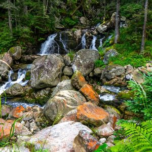 Waterval-Retezat-Nationaal-Park-Roemenië