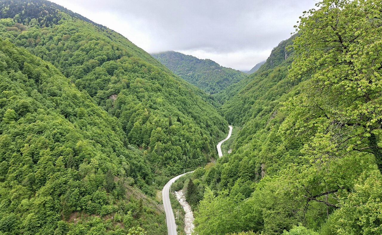 Weg in nationaal park in Kosovo