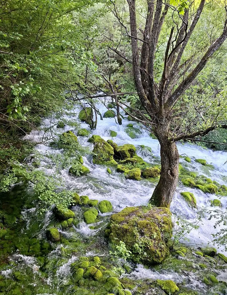 Rivier bij White Drin waterfall in Kosovo