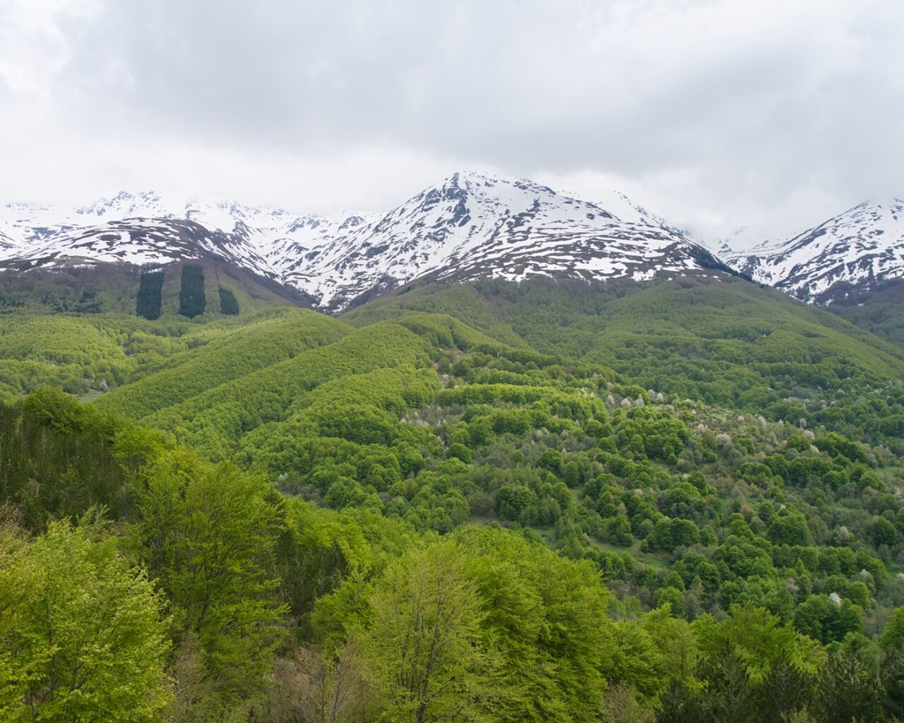 Bergen met besneeuwde toppen in Sharr Nationaal Park