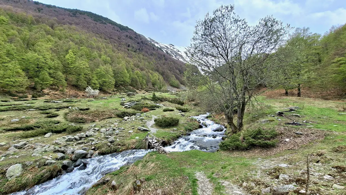 Riviertje tijdens wandeling in Sharr Nationaal Park in Kosovo